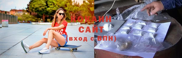 ешки Аркадак