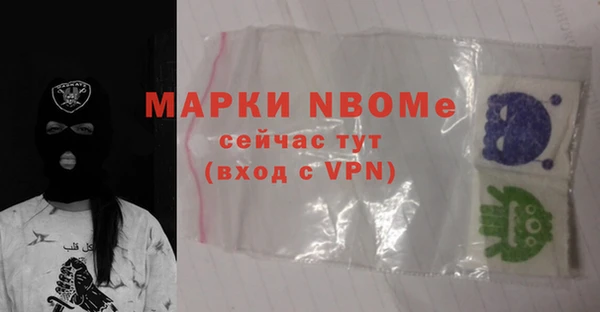 шишки Арсеньев