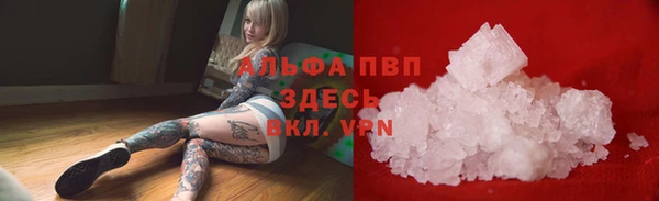 шишки Арсеньев