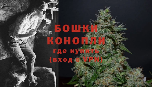 шишки Арсеньев