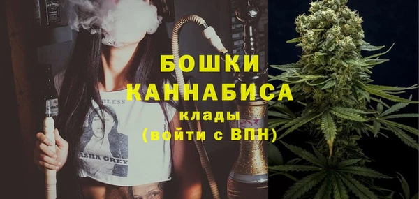 шишки Арсеньев