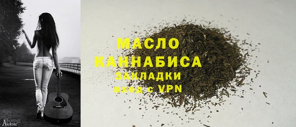 шишки Арсеньев