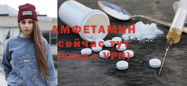 шишки Арсеньев