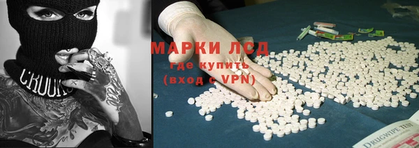 ешки Аркадак