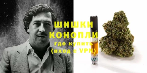 ешки Аркадак