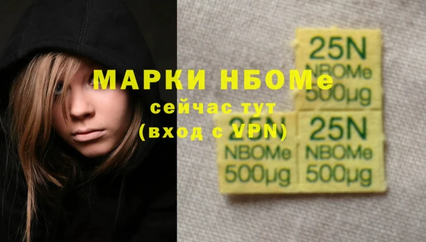 ешки Аркадак