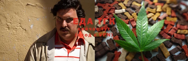 шишки Арсеньев